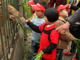 Shopping in Chengdu Sichuan